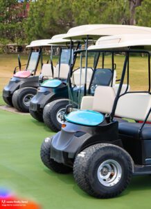 How to Choose The Golf Cart for You?