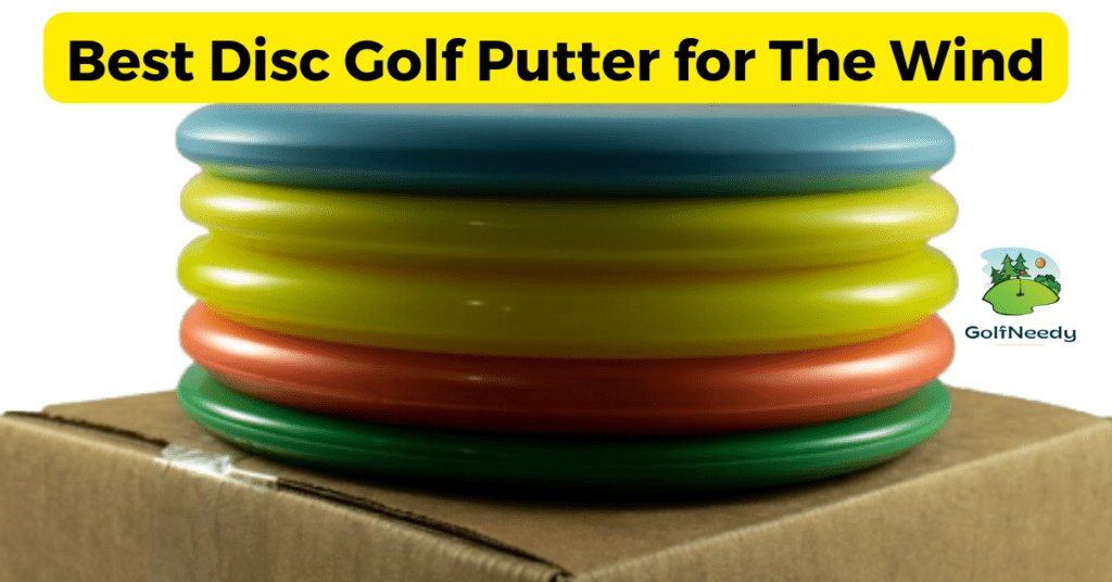 Best Disc Golf Putter for The Wind