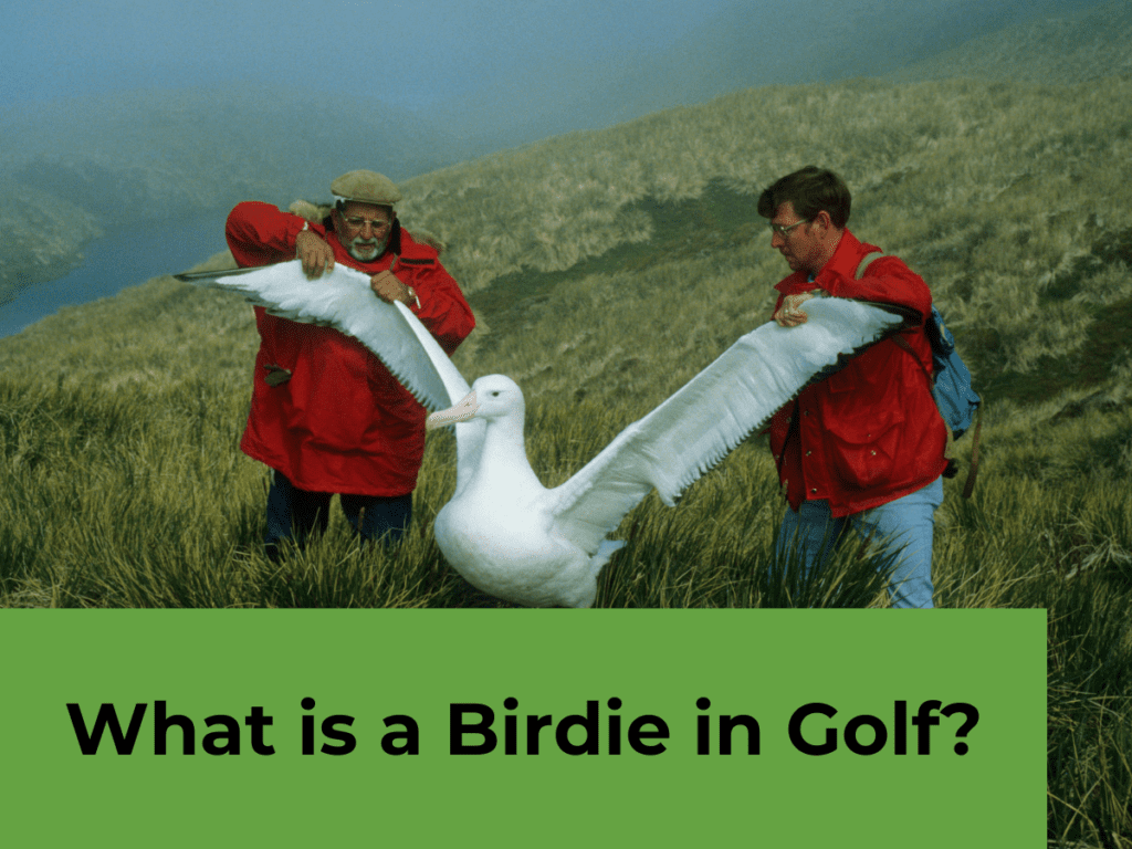 What's An Albatross In Golf?