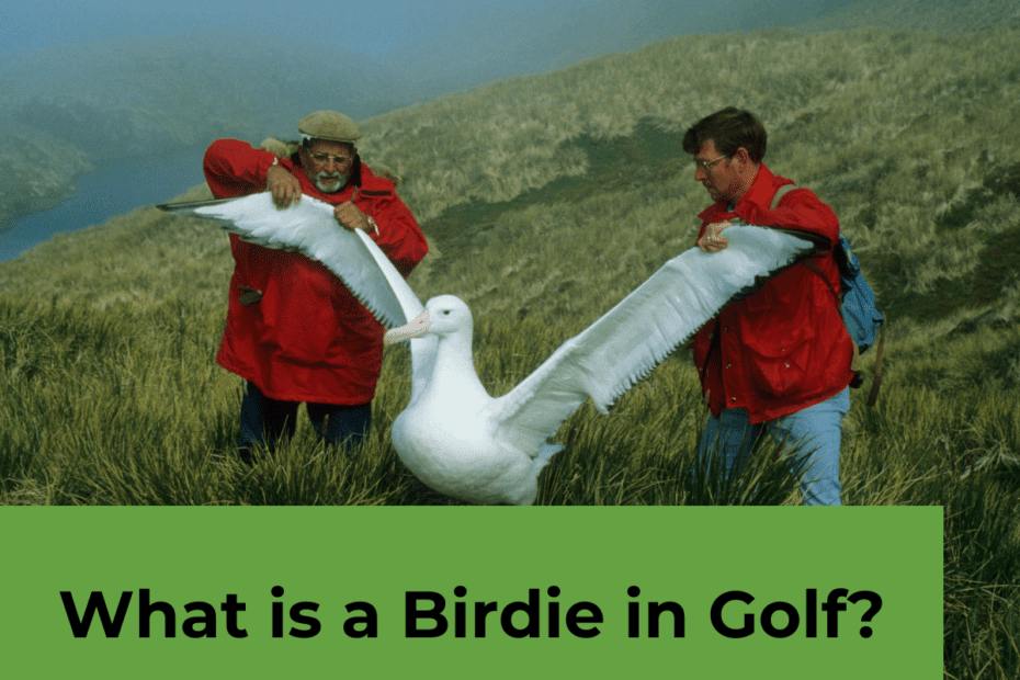 What's An Albatross In Golf?